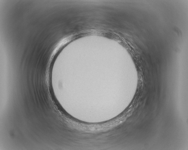 X0000115020006200912071037