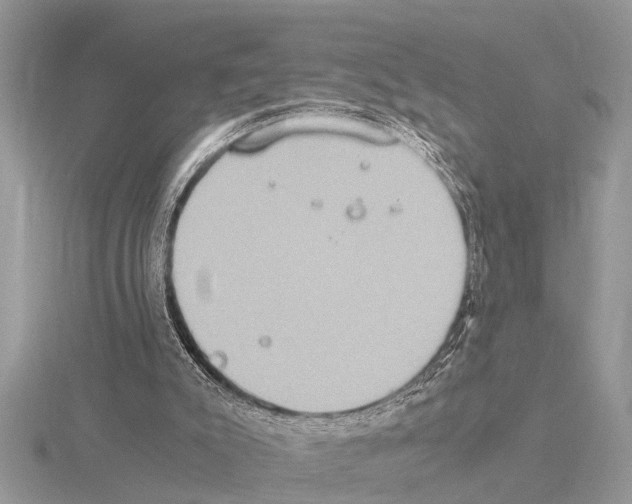 X0000115020007200912071037