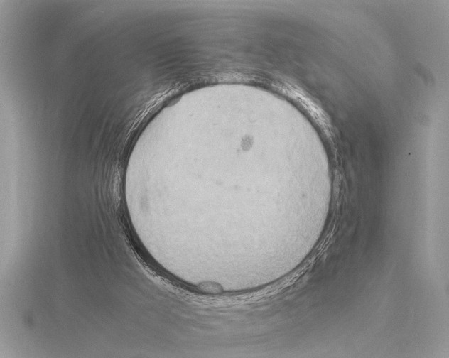 X0000115020009200912071037