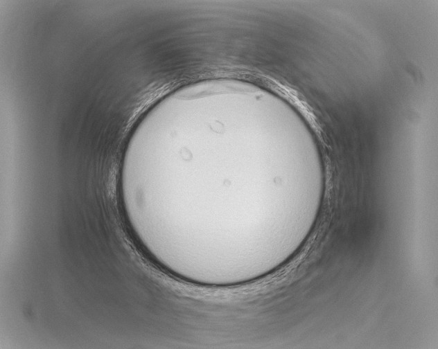 X0000115020010200912071037