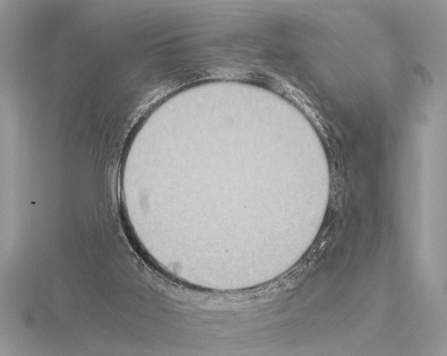 X0000115020011200912071037