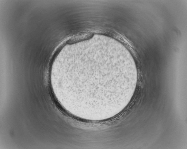 X0000115020012200912071037