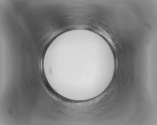 X0000115020013200912071037