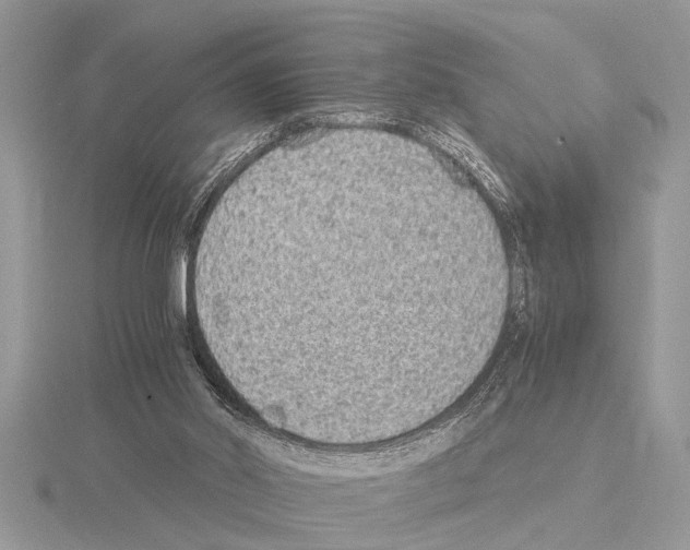 X0000115020014200912071037