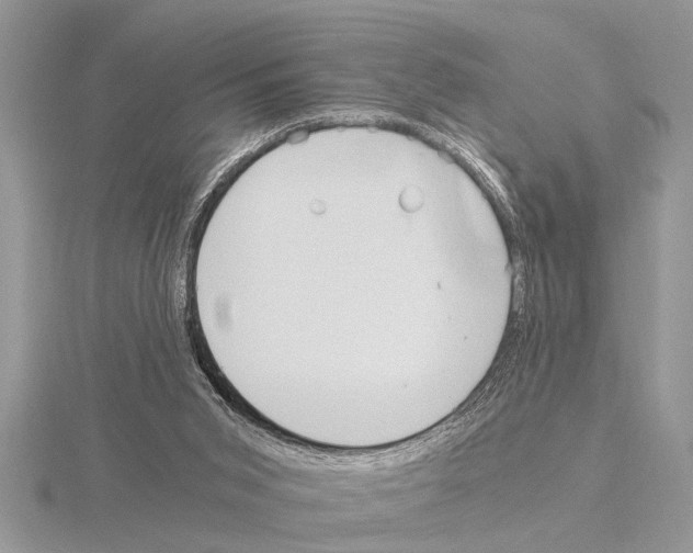 X0000115020015200912071037