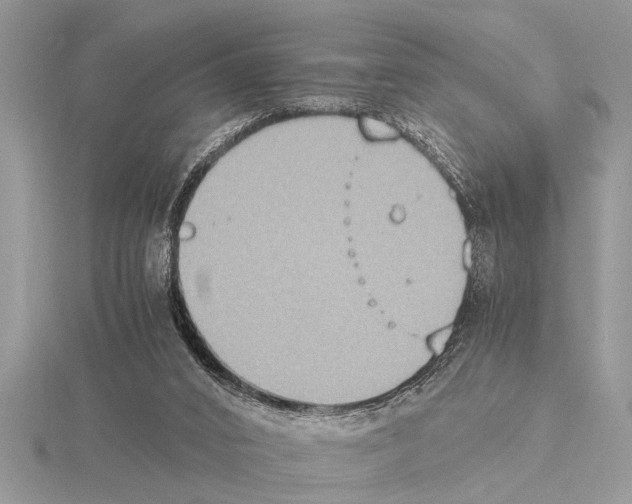 X0000115020016200912071037