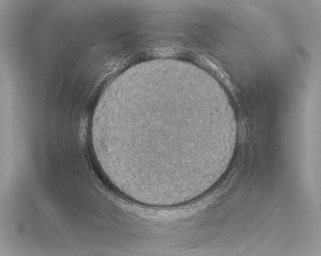 X0000115020018200912071037