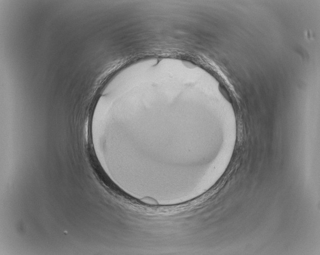 X0000115020019200912071036