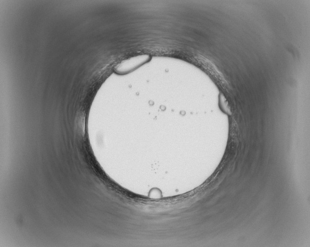 X0000115020021200912071036