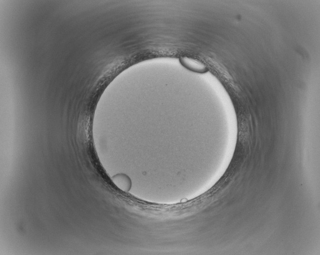 X0000115020023200912071036