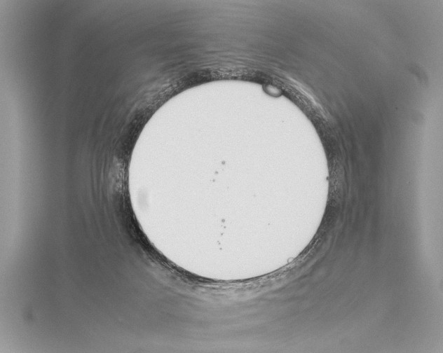 X0000115020025200912071036