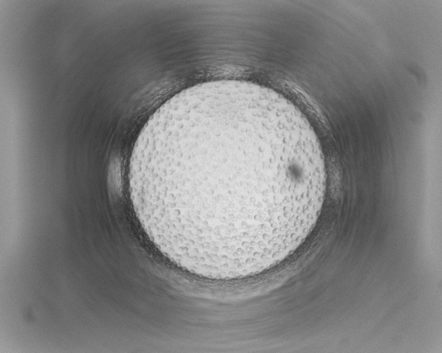 X0000115020026200912071036