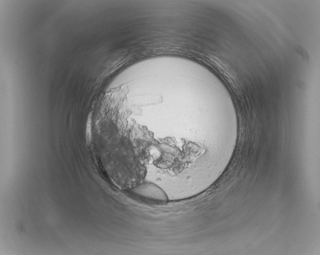 X0000115020028200912071036