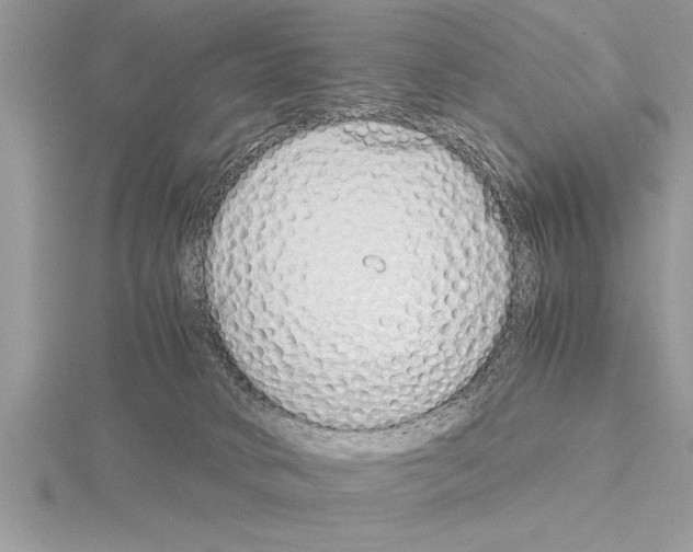 X0000115020034200912071036