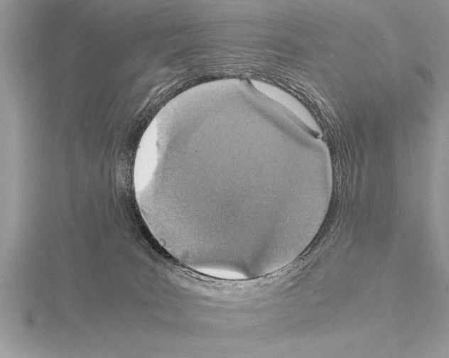 X0000115020035200912071036