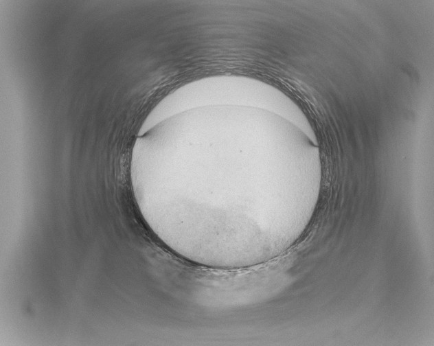 X0000115020037200912071036