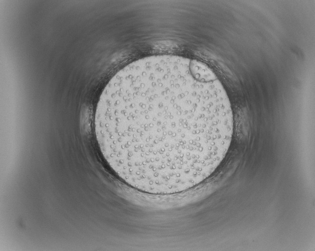 X0000115020038200912071036