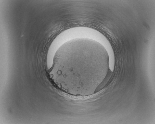 X0000115020039200912071036