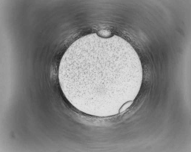 X0000115020040200912071036