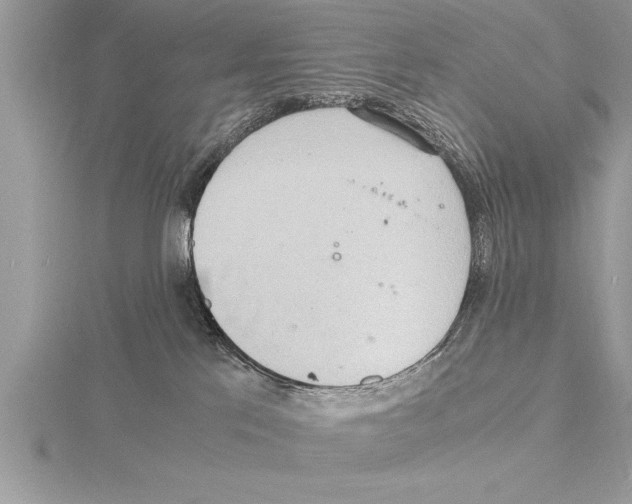 X0000115020041200912071036