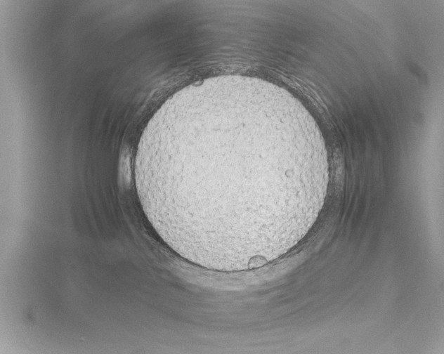 X0000115020042200912071036