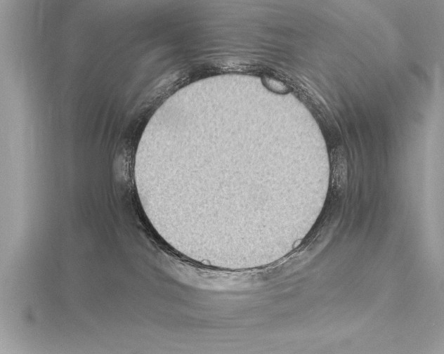 X0000115020044200912071036