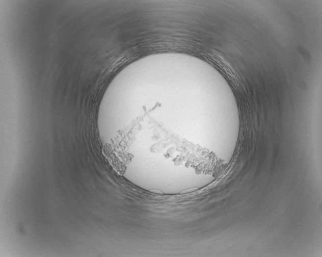 X0000115020045200912071036