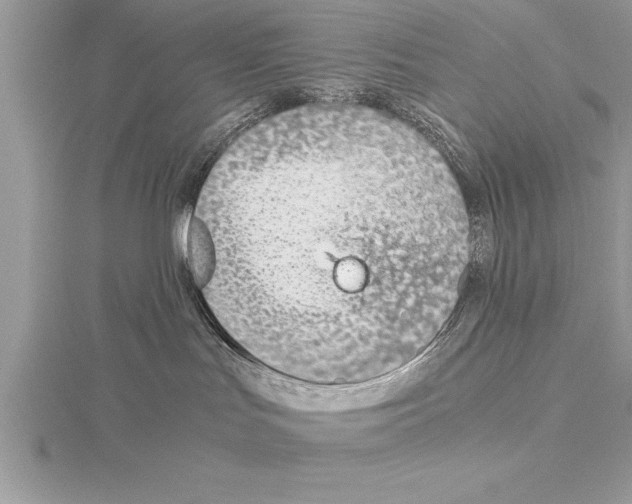 X0000115020047200912071036