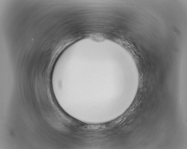 X0000115020049200912071036