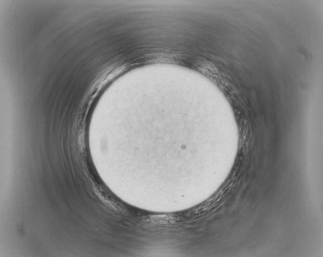 X0000115020050200912071036