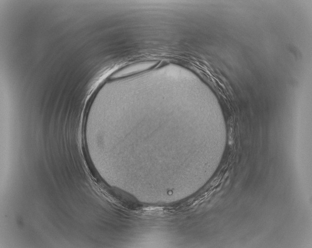 X0000115020052200912071036