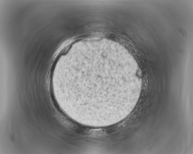 X0000115020054200912071036