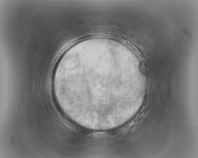 X0000115020055200912071036