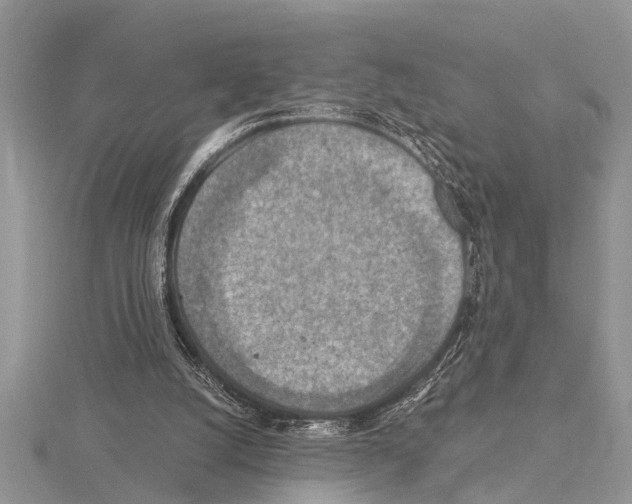 X0000115020056200912071036