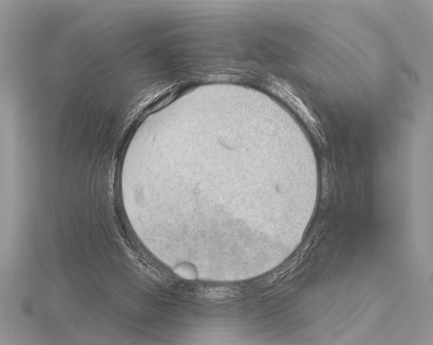 X0000115020058200912071036