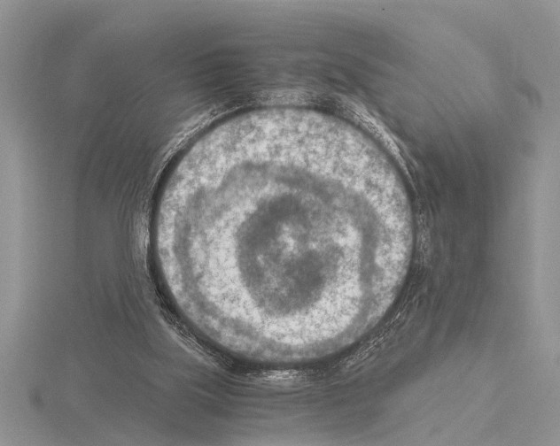 X0000115020059200912071036