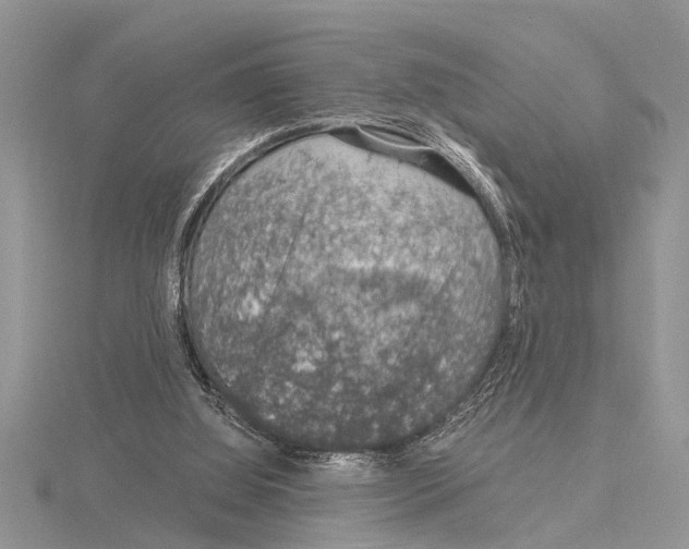 X0000115020060200912071036