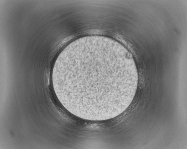 X0000115020062200912071036