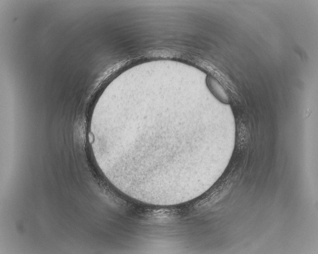 X0000115020064200912071036