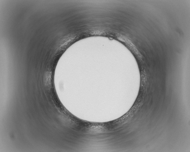 X0000115020066200912071036