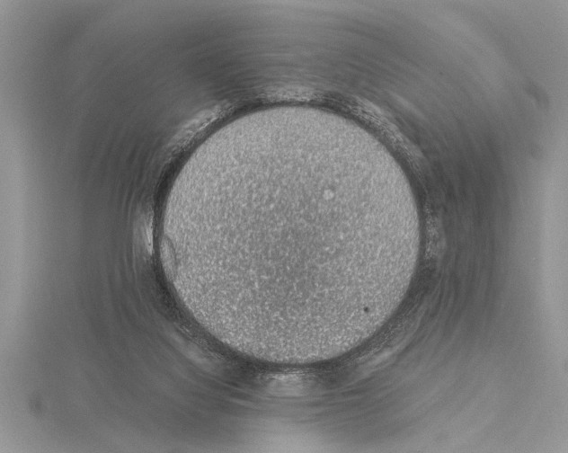 X0000115020068200912071036