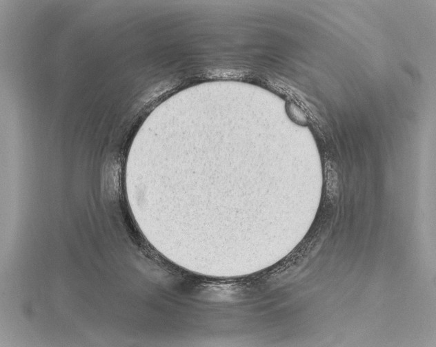 X0000115020071200912071036