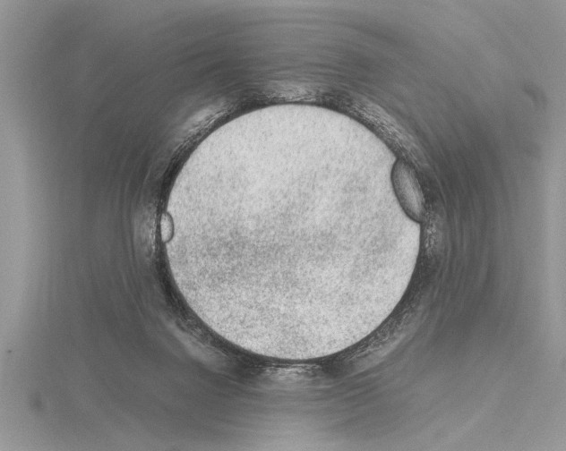 X0000115020072200912071036