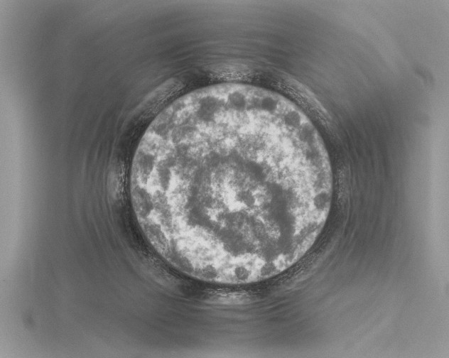 X0000115020073200912071036