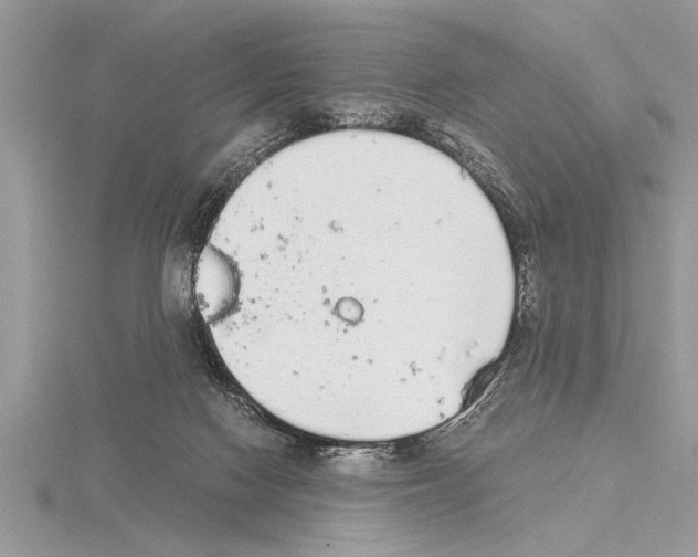 X0000115020074200912071036