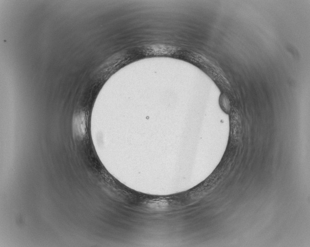 X0000115020075200912071036