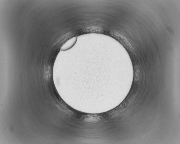 X0000115020077200912071036