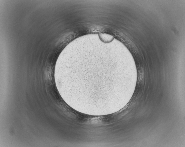 X0000115020078200912071036