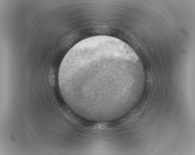 X0000115020080200912071036