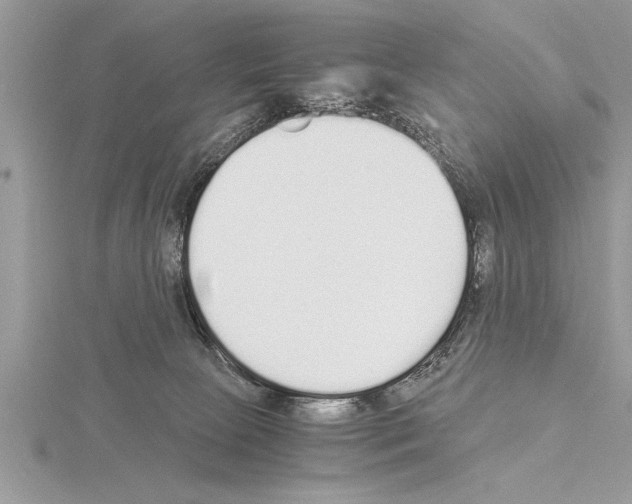 X0000115020081200912071036